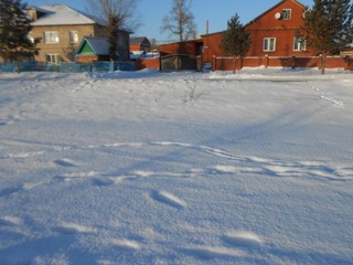 Winter, snow, village