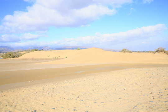 Scenic sand dunes in Maspalomas on Gran Canaria Island, Canary Islands, Spain