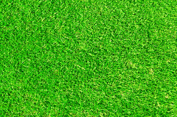 Green lawn for background