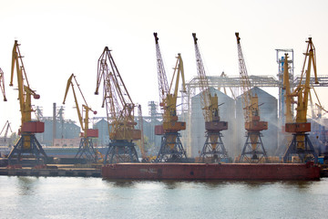 Port cranes at cloudy sky. Industrial port cranes agains overcast sky.