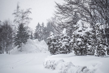 landscape of falling white snow.