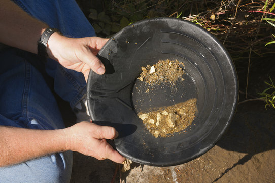 gold panning hoping to strike it rich