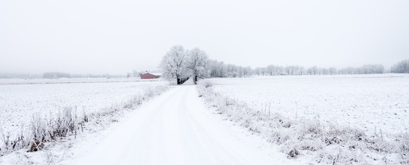 Country road in winter