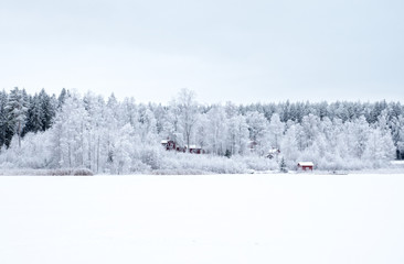 Winter landscape with snow and frost