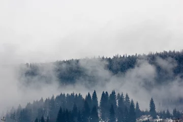 Foto op Plexiglas Mistig bos Kaukasische bergen