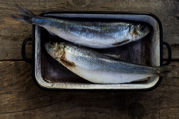 Two raw fish. Healthy food recipe