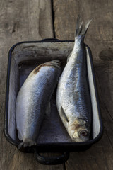 Frozen fish.