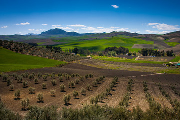 Setenil de las Bodegas, Cadiz province, Andalucia, Spain
