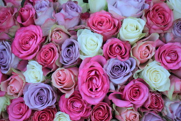  pink and purple mixed wedding roses