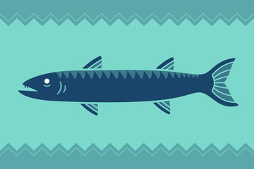 Barracuda fish illustration