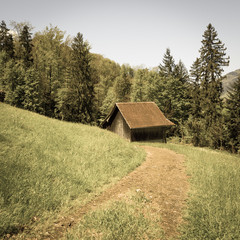 Obraz premium Retro rural landscape. Retro rural pastoral in the mountains of Switzerland. A house with a red roof on a green grass meadow.