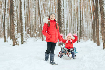 Fototapeta na wymiar The elder sister rolls the younger on the sled in the winter