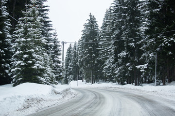 Obraz premium Mountain winter road through the forest