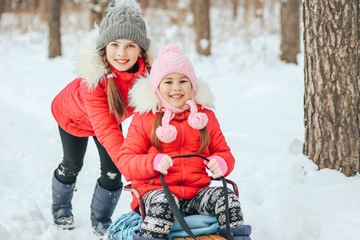 small children 5 and 10 years of age sledging in the winter in the woods