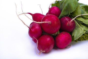 Radishes isolated on a white surface