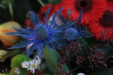 Mixed wedding bouquet in red and blue