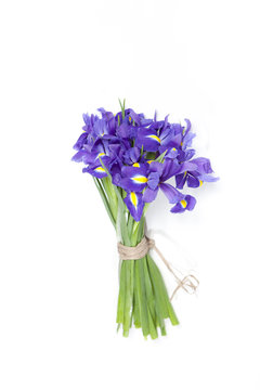 the Violet Irises xiphium (Bulbous iris, sibirica) on white background with space for text. Top view, flat lay. Holiday greeting card for Valentine's Day, Woman's Day, Mother's Day, Easter!