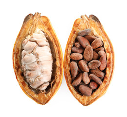 Cut cocoa pod with beans on white background