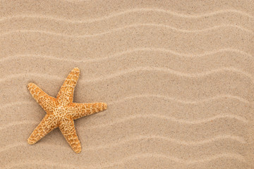 Fototapeta na wymiar Summer wallpaper. Starfish on sand, beach background.
