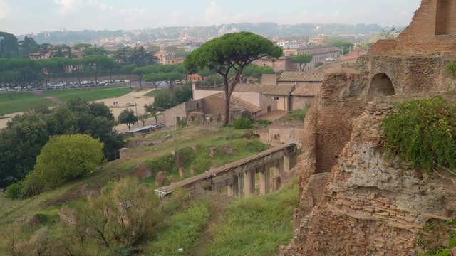 16145_Big_trees_growing_on_the_Palatine_hill_in_Rome_in_Italy.mov