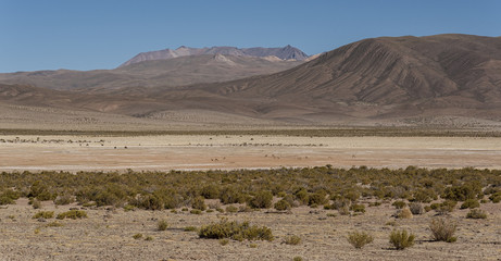 Fototapeta na wymiar Beautiful bolivian landscape on the road to San Antonio de Lipez - Boliva, South America