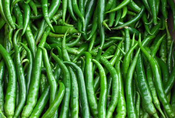 Fresh green pepper pile in harvest season