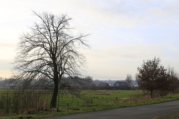 An der Hamme in Ritterhude im Winter