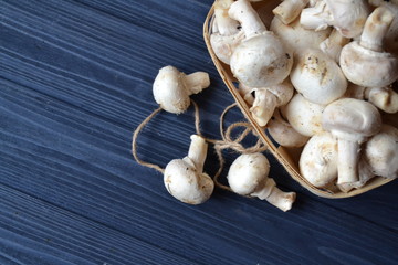 Mushrooms on the dark blue wooden desk. Cooking champignons.