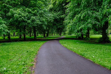 Fototapeta na wymiar Winding path through the trees in Bute Park, Cardiff, Wales