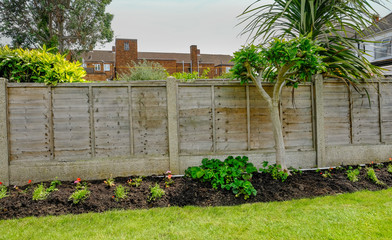 Flower bed in the back-garden with a fence behind the plants.