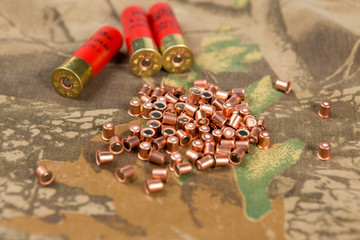 Fototapeta na wymiar hunting cartridges, hunting ammunition, capsule