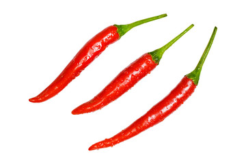 Red chili pepper with water drop isolated on a white - clipping path