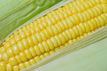 Fresh peeled sweet corns