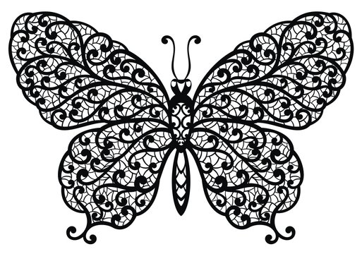 Vector butterfly illustration