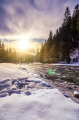 frozen river among conifer forest with snow on the ground in carpathian mountains in evening light