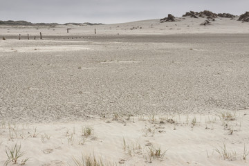 Dunes on Romo Island - Denmark.