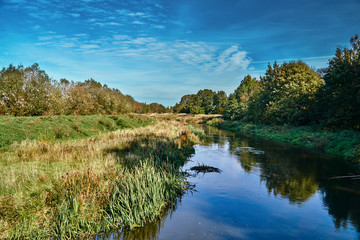 meadow on the River during autumn in Poland.