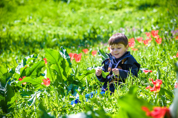 Cute Boy between of the purple tulips field