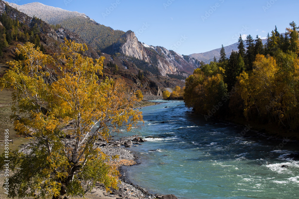 Wall mural katun river view in altai republic, russia.