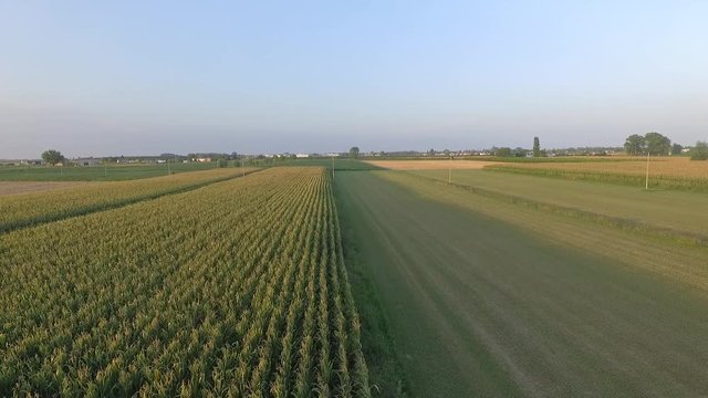 Vista dall'alto campagna rurale estate