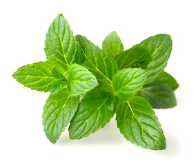 Peppermint leaves isolated on white