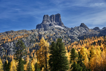 Meadow, autumn trees, and Monte Averau