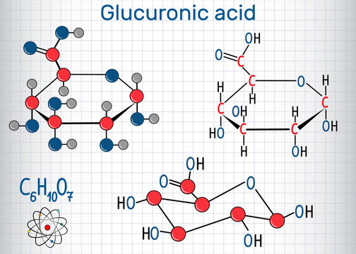 Glucuronic acid molecule, plays an important role in the metabolism of microorganisms, plants, animals. Structural chemical formula and molecule model. Sheet of paper in a cage