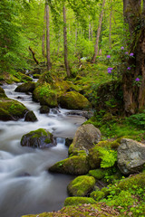 Machakhela National Park