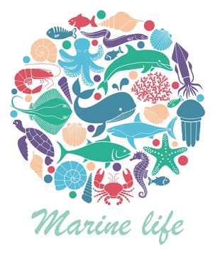 Marine life icons in the form of a circle
