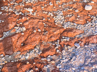 the cracked red clay soil, covered with gray pebbles. erosion clay cliffs on the sea shore