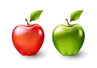 Red apple and green apple, fruit isolated, Vector illustration