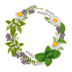 Vector round ornament of herbs and flowers for labels of herbal tea or herbal shampoo
