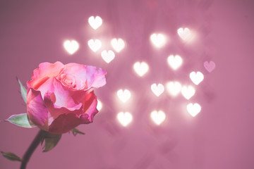 Pink roses bouquet and hearts bokeh background symbolizing love and passion, Valentines Day / Womans Day card