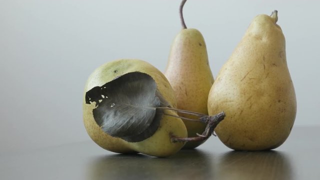 Small group of tasty pears slow tilt footage - Yellow fruit from genus Pyrus video